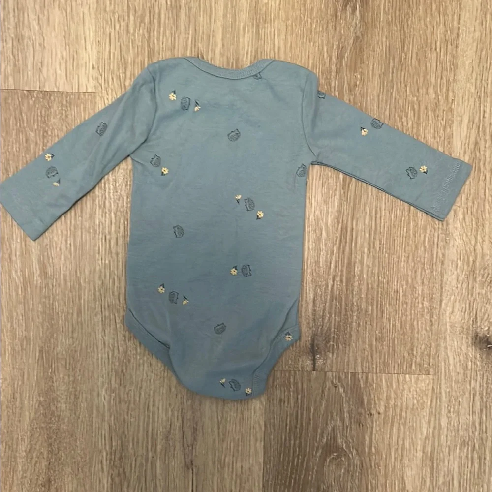 Carter's Blue Long Sleeve Bodysuit with Little Floral Design